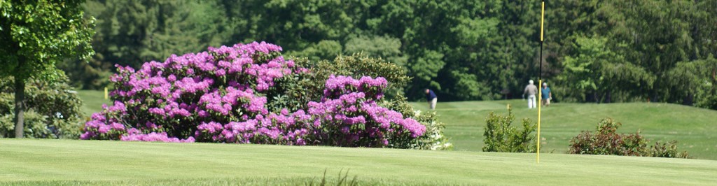 Flowers on golf course